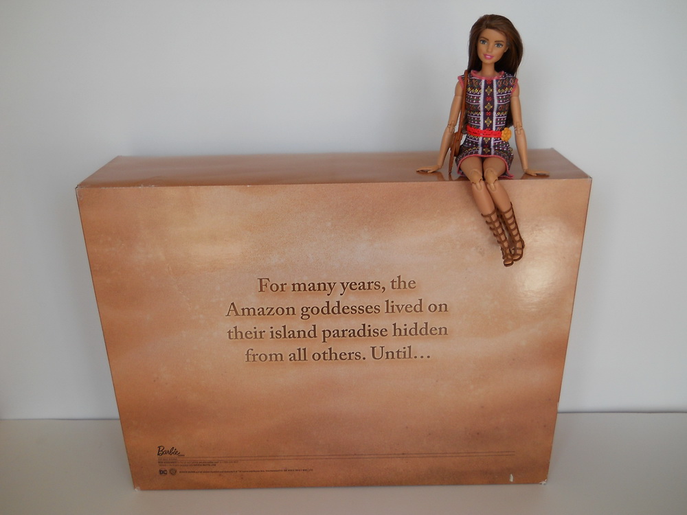 обратная сторона коробки Barbie Wonder Woman Paradise Island Giftset