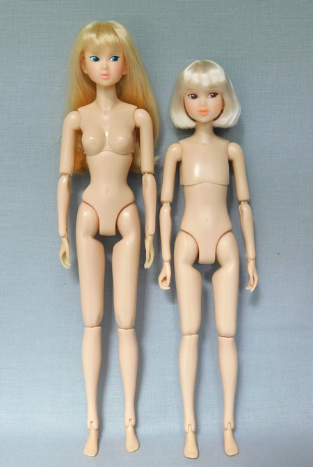 Сравнение тел кукол Момоко